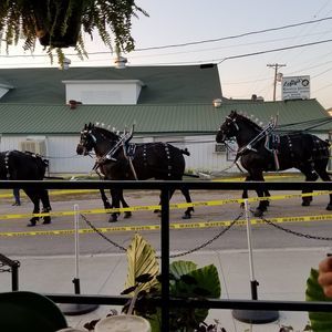 Meet your Posher, Janel